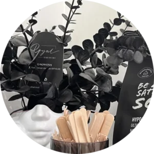 WXLab Review Royal Hair